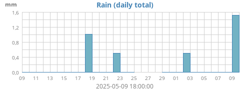 Rain
